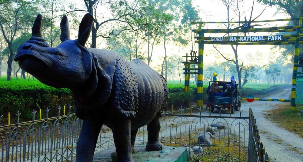 Gorumara National Park