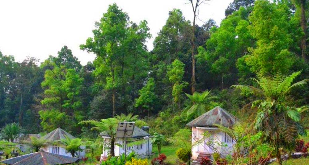 Samsing