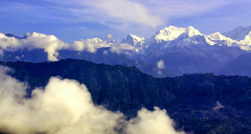 Pelling