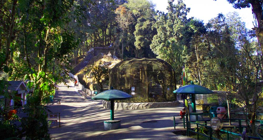 Padmaja Naidu Himalayan Zoological Park