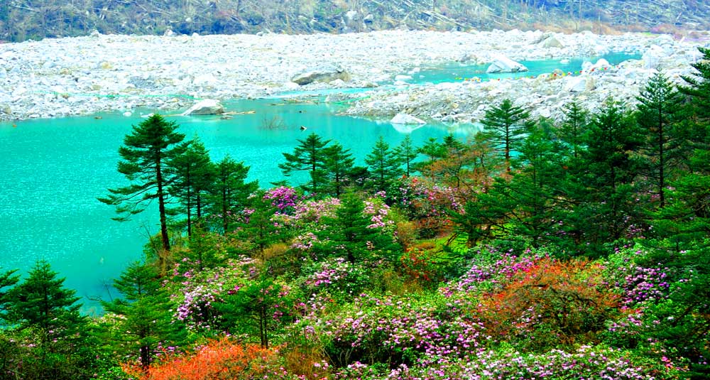 Yumthang Valley