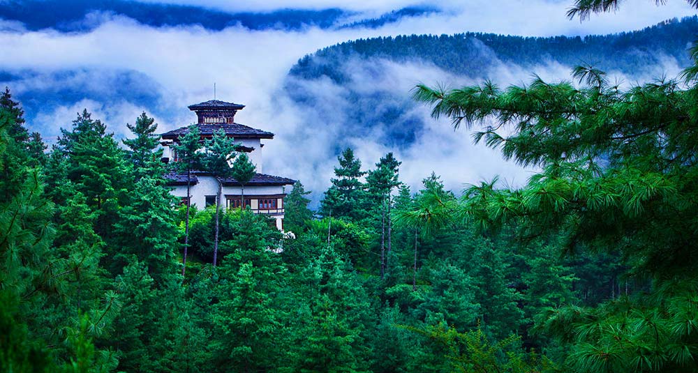 Paro